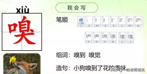 嗅字组词(嗅觉的嗅可以组什么)插图5