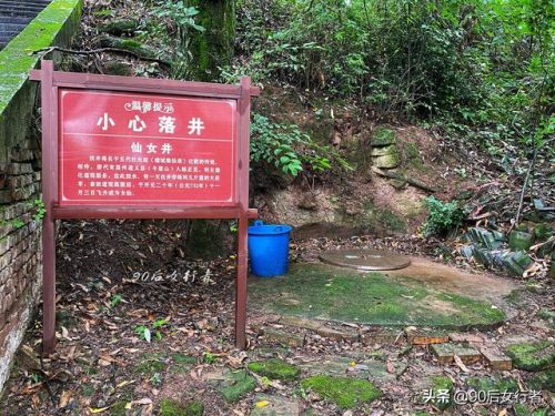 蒲江寺庙人气排名前十(大邑十大寺庙排名)插图29