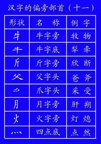 九的笔画笔顺(九的笔顺笔画顺序怎么写)插图33