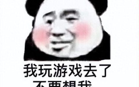 电脑网络游戏(电脑大型3d网络游戏)