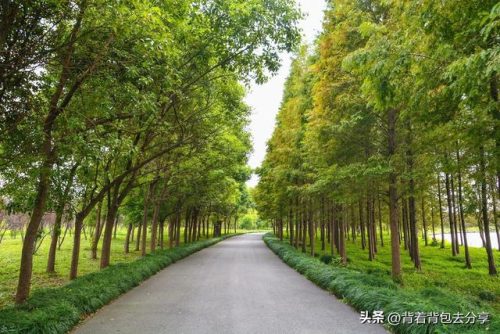 上海哪里比较好玩(上海玩一天去哪里)插图8