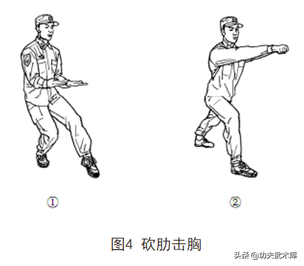 武警擒敌拳(擒敌拳20动分解动作)插图4