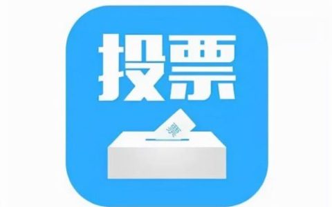 低价投票平台排名前十(投票网上买)