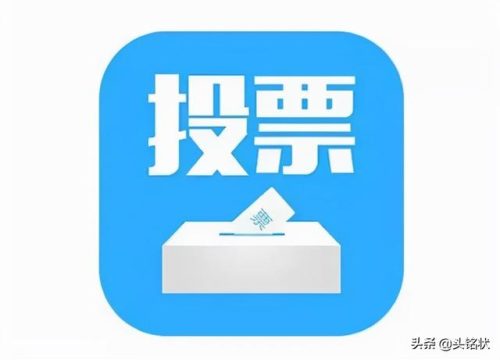 低价投票平台排名前十(投票网上买)插图