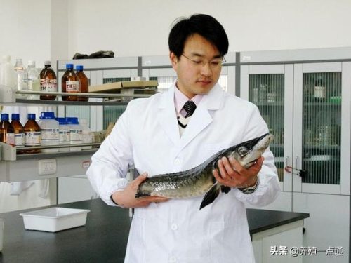 黄鳝养殖专家排名前十(黄鳝人工养殖前景好不好)插图3