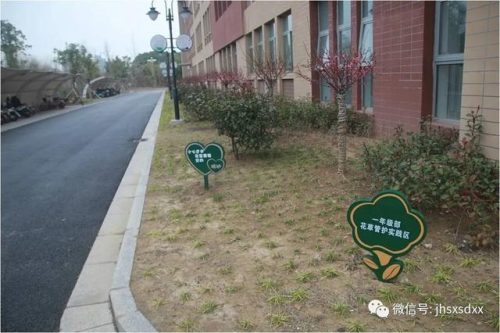 建湖县森达小学(建湖县森达集团朱湘桂)插图27