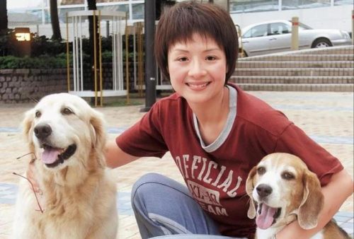 叶子楣个人资料(叶子楣现状图片)插图8