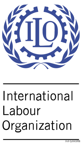 联合国会徽(联合国会标的含义)插图6