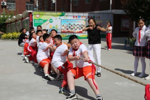 育红小学(郑州育红小学怎么样)插图39