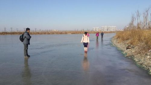 东丽湖度假村(东丽湖度假村值得买吗)插图31