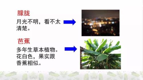 霜树尽空枝肠断丁香结(芭蕉不展丁香结同向春风各自愁)插图16