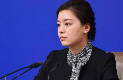 中国外交部四大美女(最美翻译官张璐间谍案)插图1