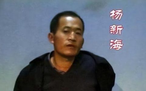 河南赏金猎手排名前十(中国赏金猎人合法吗)