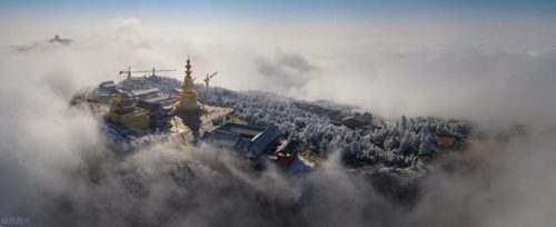 中国自然雨林排名前十(中国的热带雨林有哪些)插图5