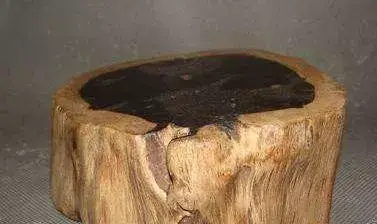 南非名贵木材排名前十(十大名贵木材图片)插图8
