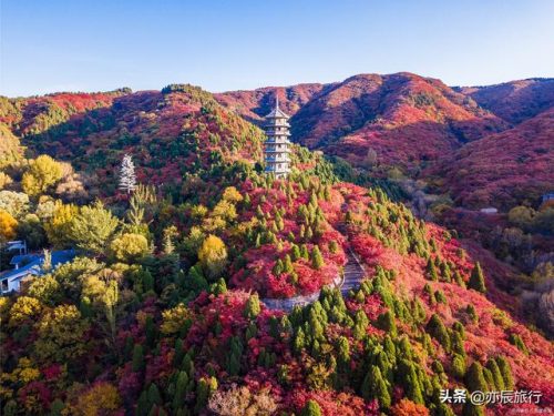 山东户外旅游排名前十(山东夕阳红旅游专列)插图9