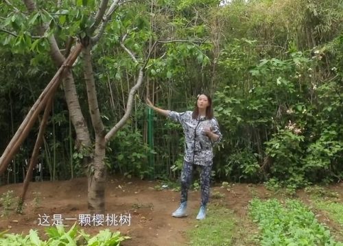 芳心不在家(电影芳心别乡故事梗概)插图51