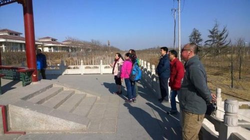 东丽湖度假村(东丽湖度假村值得买吗)插图44