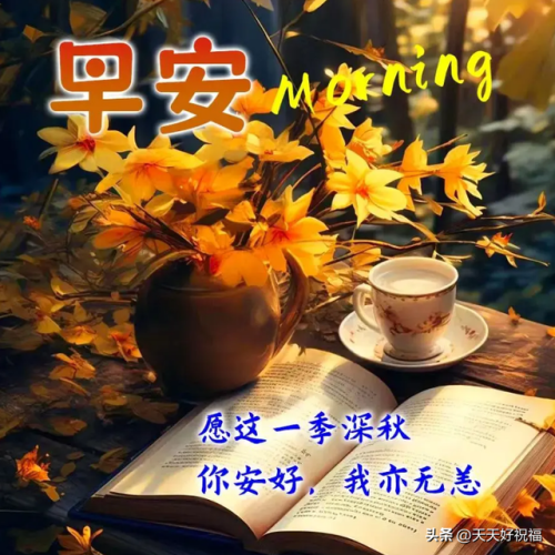 阳光早上好图片大全集(阳光早上好图片)插图4
