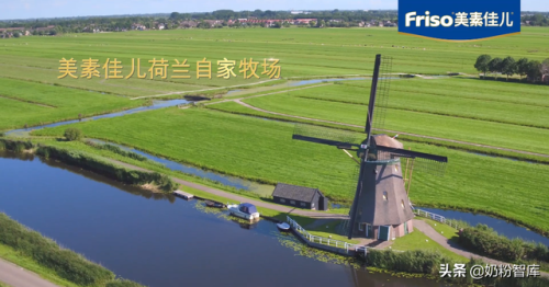 荷兰美素佳儿(美素佳儿和源悦有什么区别)插图1