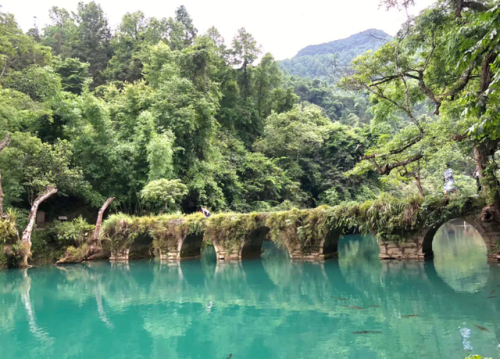 夏季山区度假排名前十(亲子度假酒店排行榜)插图5