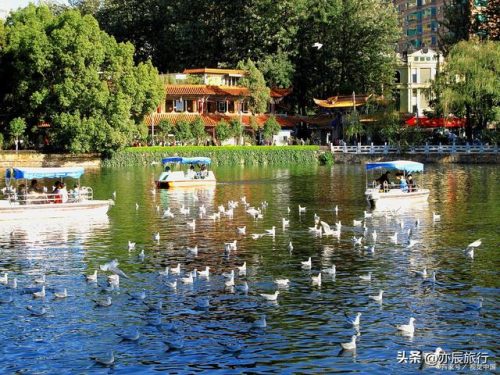 云南好玩地方排名前十(云南康养基地十大排名)插图14