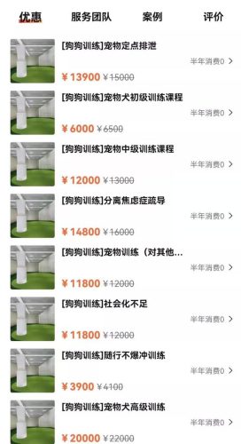 宠物训练多少钱(24小时宠物店附近)插图