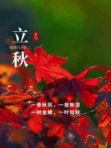 立秋图片大全高清(一叶知秋图片)插图17