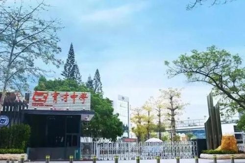 深圳前十的学校排名(深圳文武学校排名)插图9