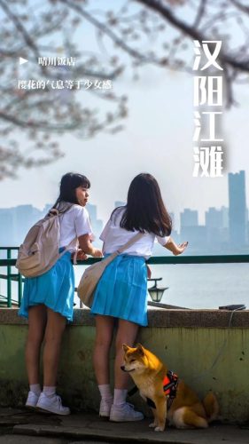 长江最美公园排名前十(长江湿地公园)插图19