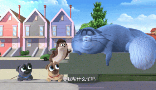 动物世界的演员(动物世界一共几个演员)插图40