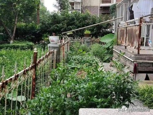 赣州精装豪宅排名前十(赣州豪宅推荐)插图32