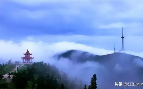 淮北民营诊所排名前十(高端民营诊所)