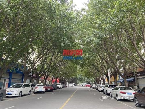 莆田别墅电梯排名前十(奥的斯别墅电梯系列及尺寸)插图16