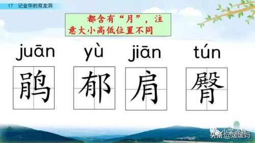 鹃的组词(扑的词语)插图30