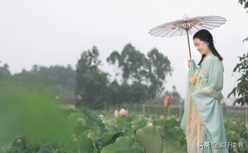 豆蔻年华是什么意思(豆蔻年华是褒义还是贬义)插图1