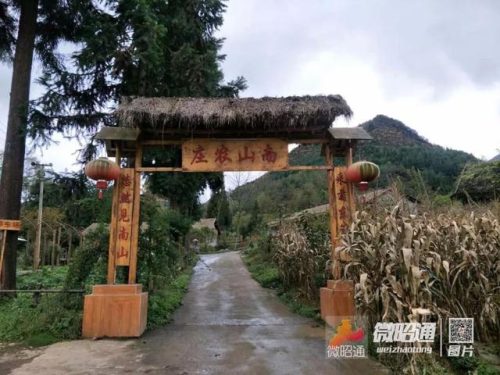 天麻面条厂家排名前十(中国面条品牌排行榜前十名)插图1