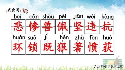 坚决的反义词是什么(坚决对什么)插图8