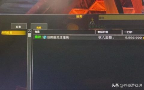 幽灵虎宝宝(魔兽世界熊宝宝)