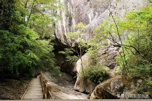 镇安木王森林公园(镇安木王森林公园天气)插图5