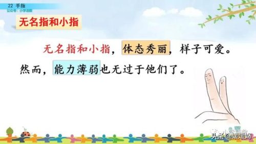 拇组词组(拇指的拇还能组哪些词)插图54