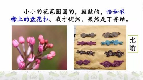 霜树尽空枝肠断丁香结(芭蕉不展丁香结同向春风各自愁)插图41