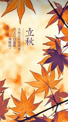 立秋图片大全高清(一叶知秋图片)插图55