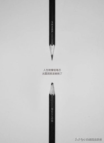 企业品牌本质排名前十(寓意本质的品牌名)插图