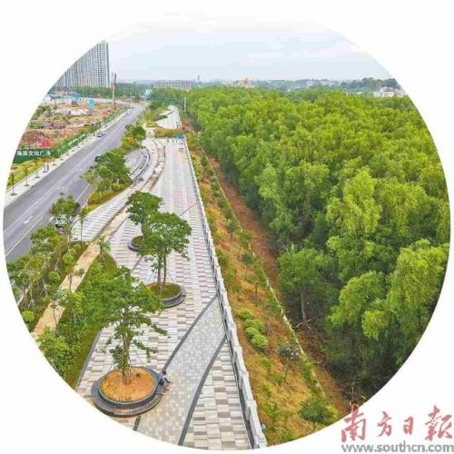 电白旅游(电白一日游最佳路线)插图1