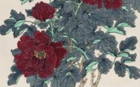 洛阳牡丹画家排名前十(洛阳李雪萍牡丹作品)