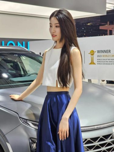 现代车型车模排名前十(上海现代汽车车模)插图