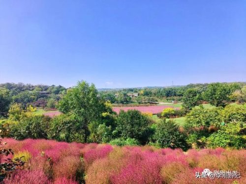 大连旅游攻略(涠洲岛旅游攻略)插图4