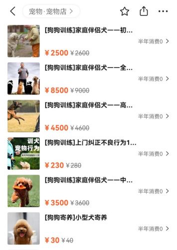 宠物训练多少钱(24小时宠物店附近)插图3