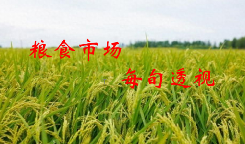 粳稻价格(粳稻多少钱一斤)插图